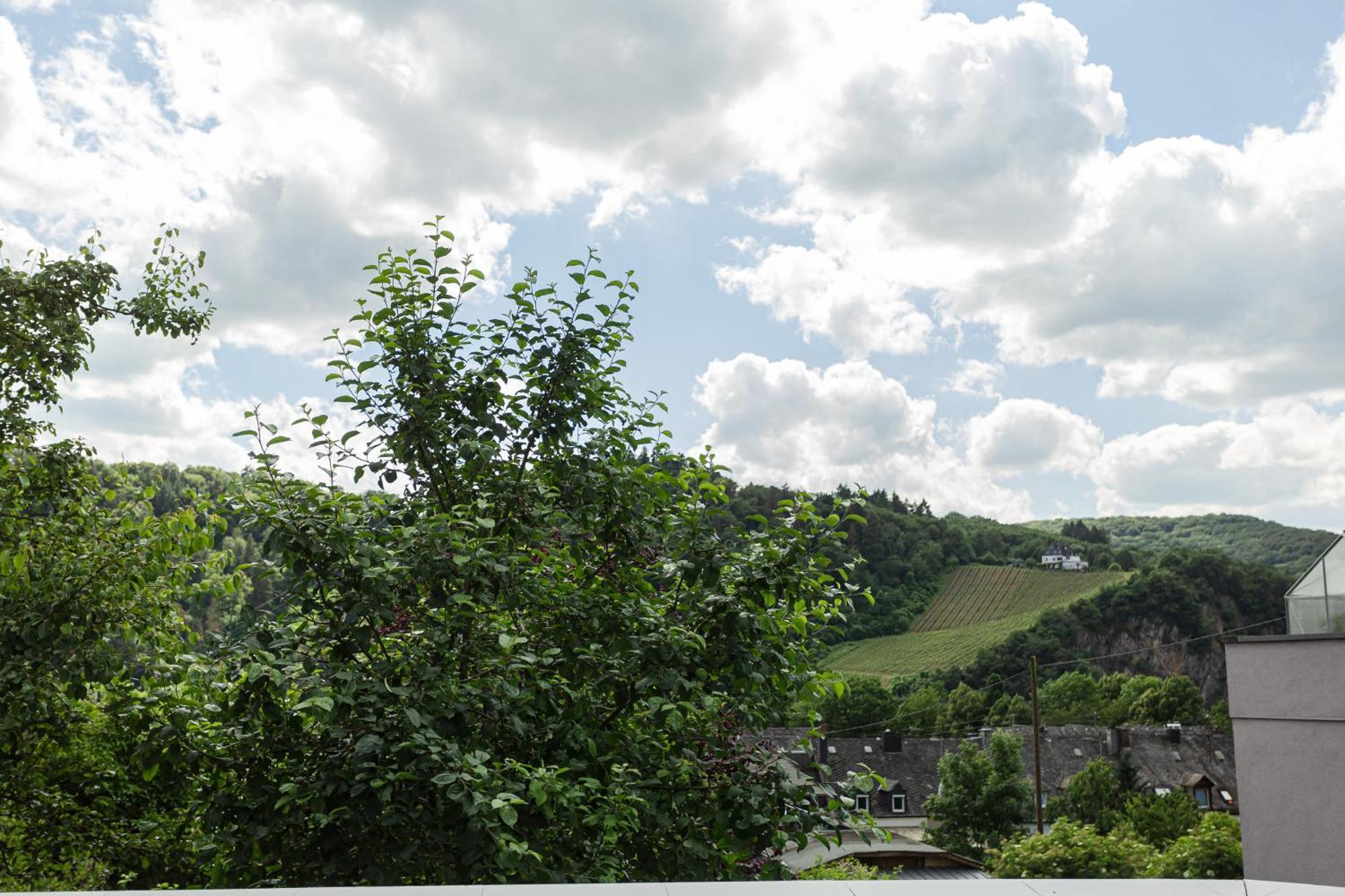 Luxusferienwohnung Moselruhe Bullay Mit Grosser Terrasse Und Schoenem Ausblick Exterior foto
